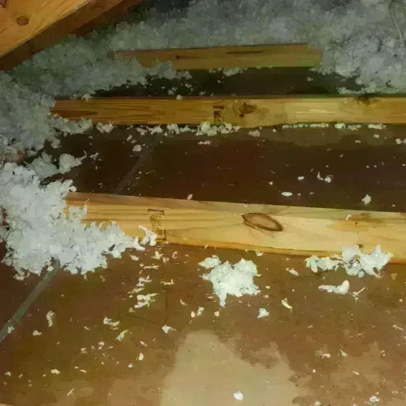 Attic Water Damage in Woods Cross, UT