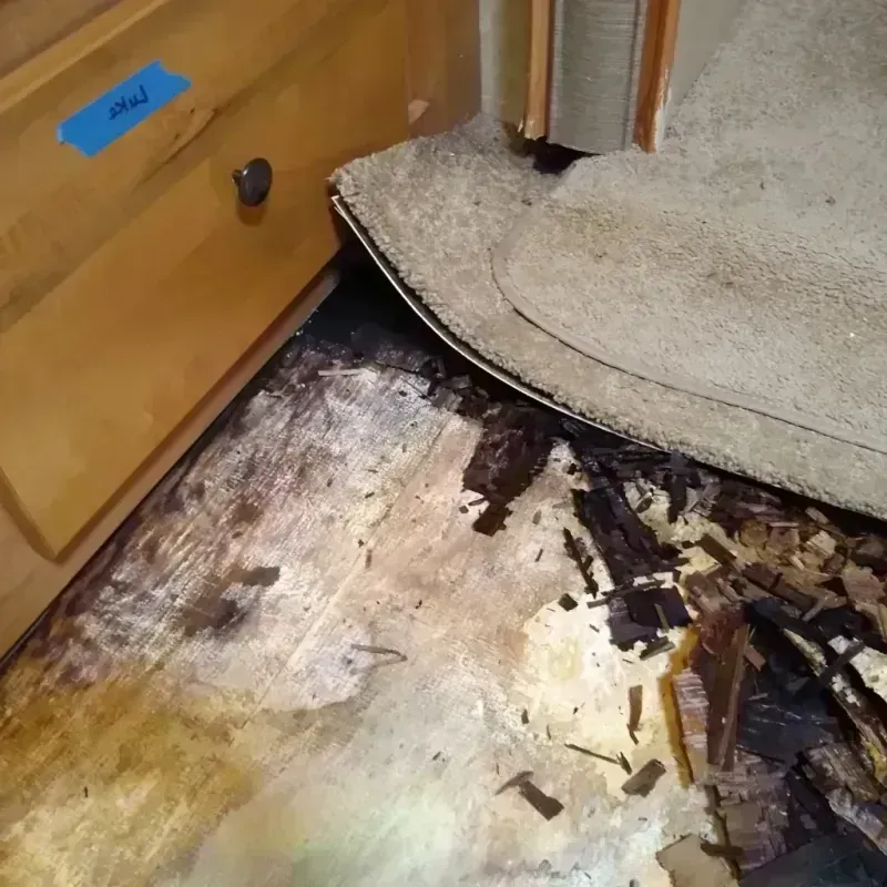 Wood Floor Water Damage in Woods Cross, UT